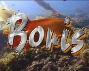 Boris Final Effects Complete v 6.0 For Adobe CS5/CS4/CS3