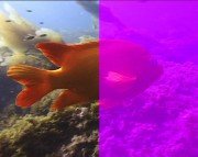 Boris Final Effects Complete v 6.0 For Adobe CS5/CS4/CS3