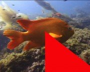 Boris Final Effects Complete v 6.0 For Adobe CS5/CS4/CS3