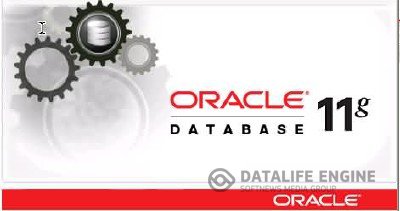 Oracle Database 11g Release 2 Express Edition + Видеокурс