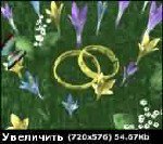 Sony Vegas Pro 10 RUS + Сборник свадебной анимации "Свадьбы Весна"