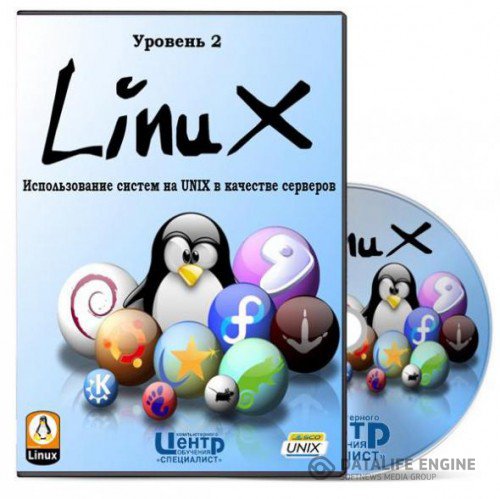 Linux. Уровень 2. Использование систем на UNIX в качестве серверов. Обучающий видеокурс (2011)