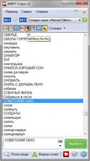 ABBYY Lingvo х5 «20 языков» Professional Plus v4 (2012) PC