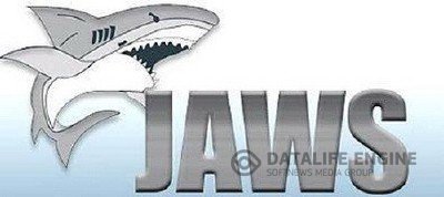 JAWS 13 Build 977 [Русский] (x86/x64) + Crack (Управление ПК слепым)